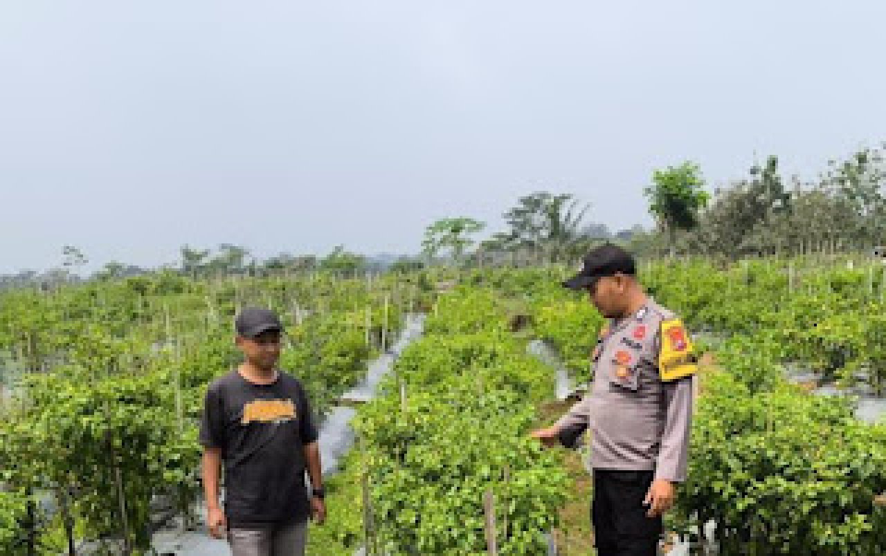 Polisi Ngawi Gelar Patroli P2B di Sine, Dukung Ketahanan Pangan Nasional