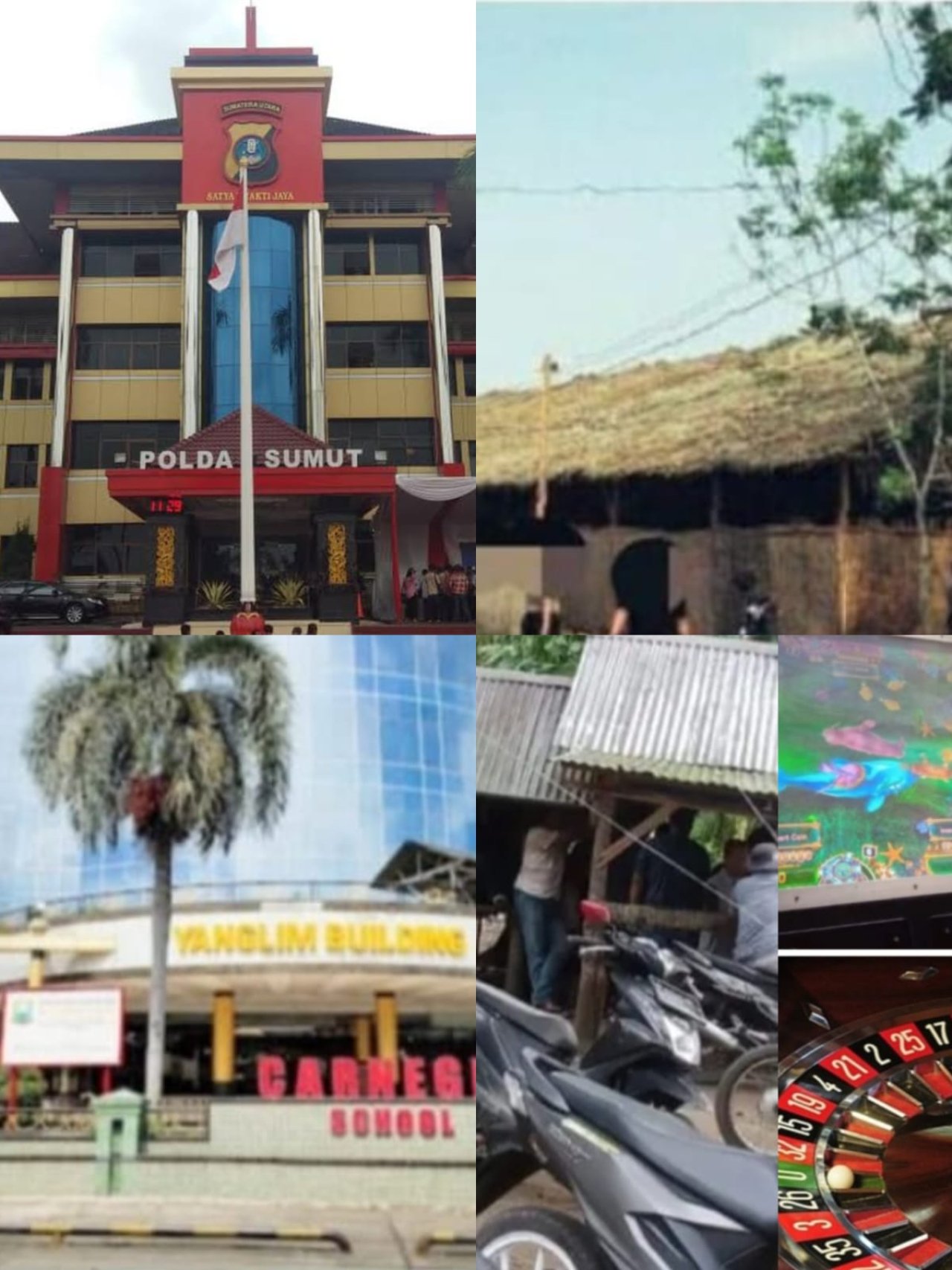 Diduga Polda Sumut Beserta Jajaran Polres dan Polsek Main Dibelakang Layar Mafia Judi Aseng Kayu