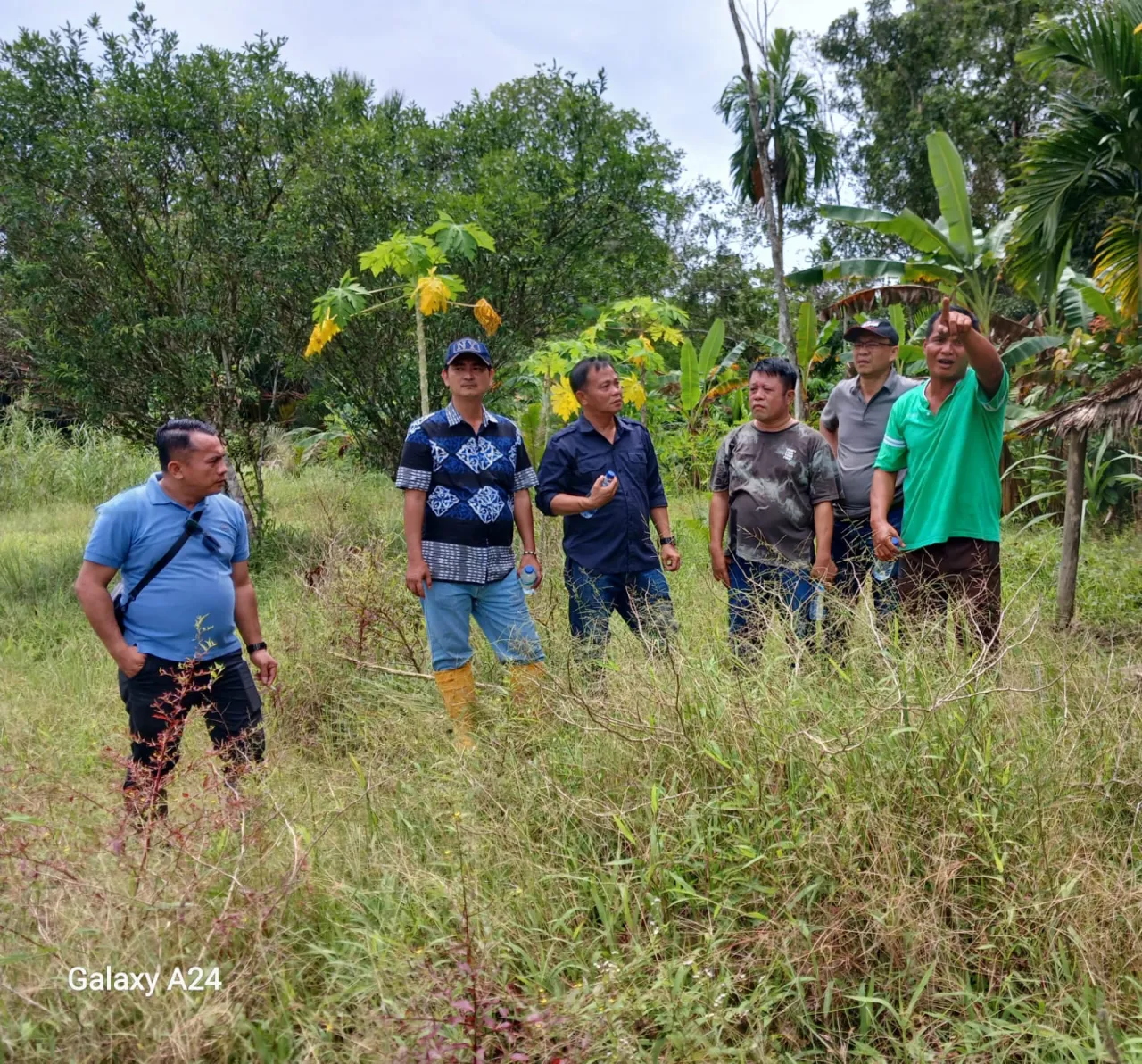 BUMD Nias Barat Canangkan Pengembangan 11 Hektare Sawah Terlantar di Lolomboli