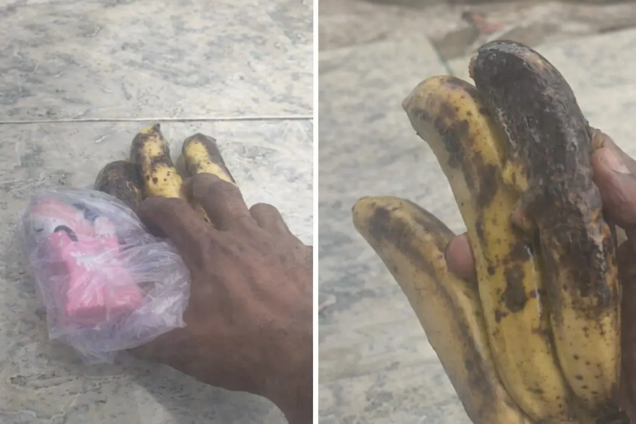 Sekda BNPM Bangkalan Kecam Kualitas MBG di Desa Bates, Diduga Bagikan Pisang Busuk hingga Susu Berbau