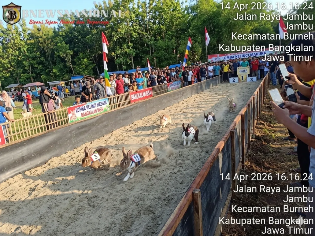 Hobi Balap Kelinci? Lapangan di Jalan Raya Rabesan Bangkalan Sudah Siap Gelar Lomba!