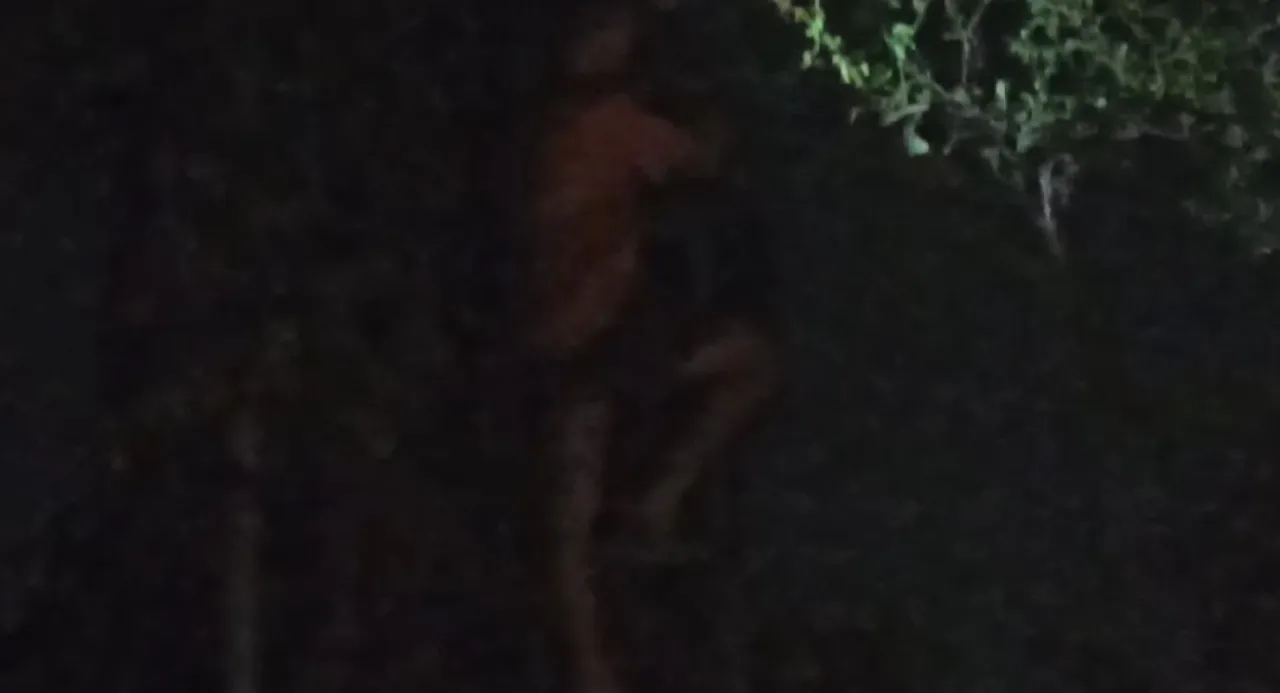 Gangguan WiFi di Malam Hari, Teknisi PT Bach Multi Global Diduga Langgar Prosedur K3