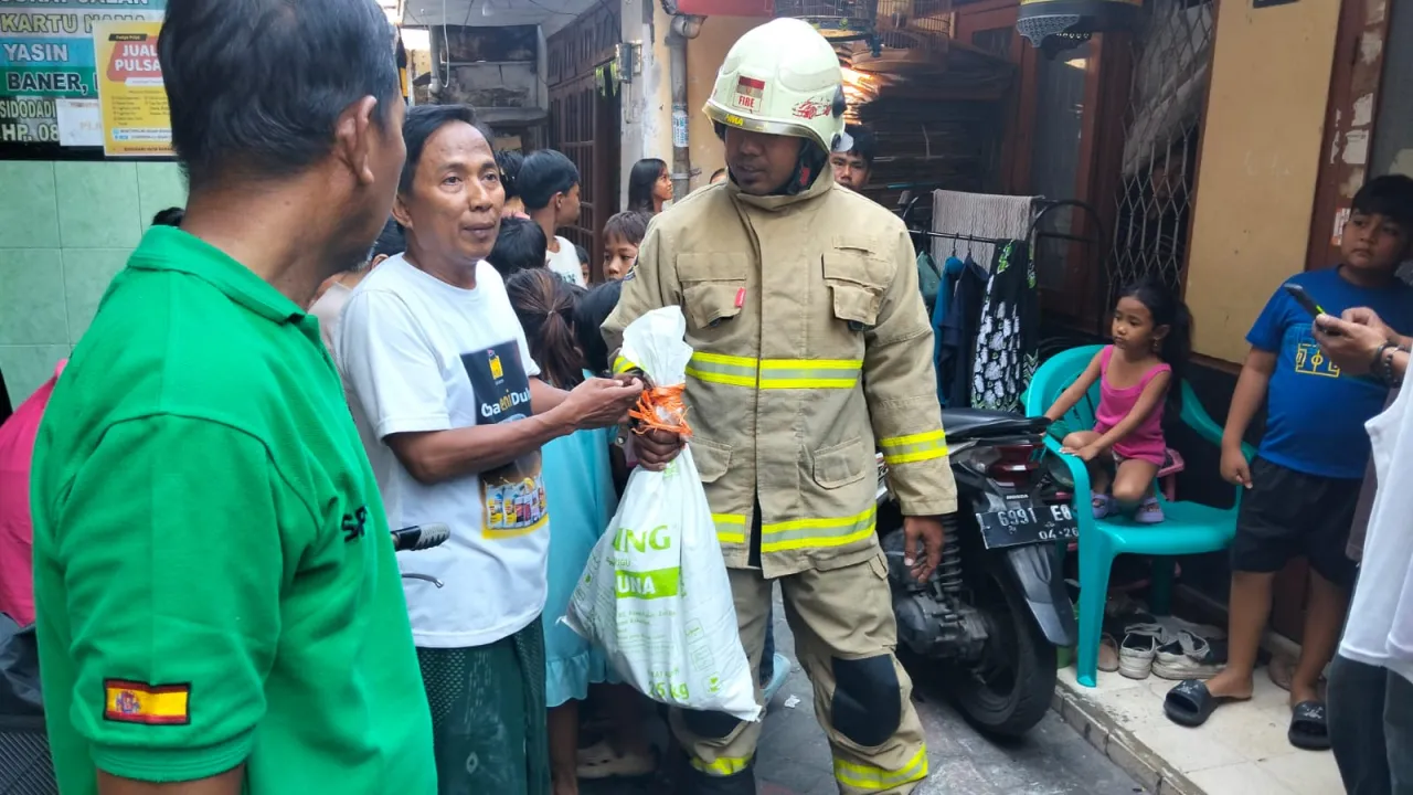Kemunculan Ular Piton Besar di Padat Penduduk Gegerkan Warga Sidodadi