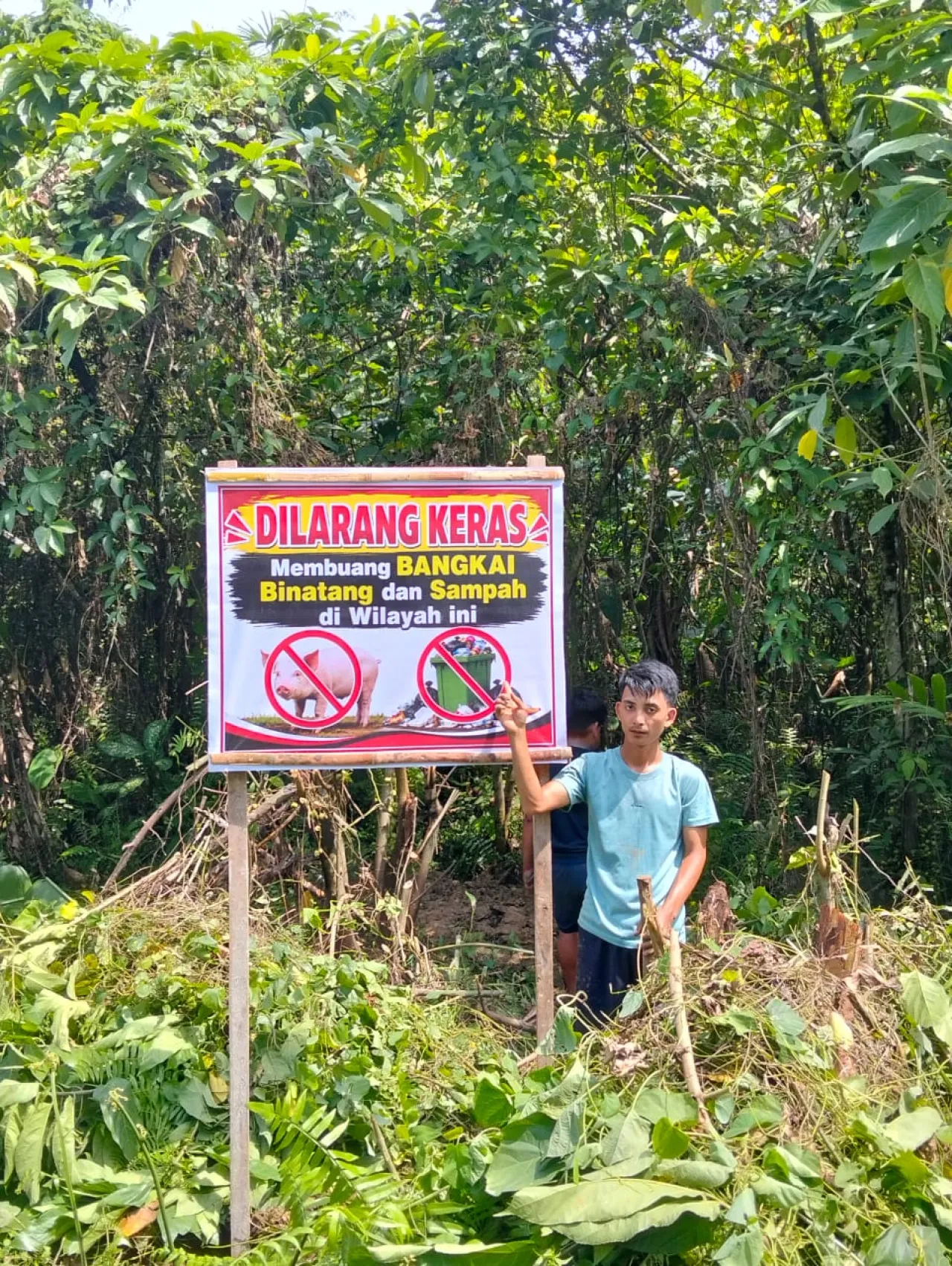 Antisipasi Pencemaran Lingkungan, Pemdes Ononamolo III Kubur Bangkai Babi di Sungai dan Pasang Spanduk Larangan