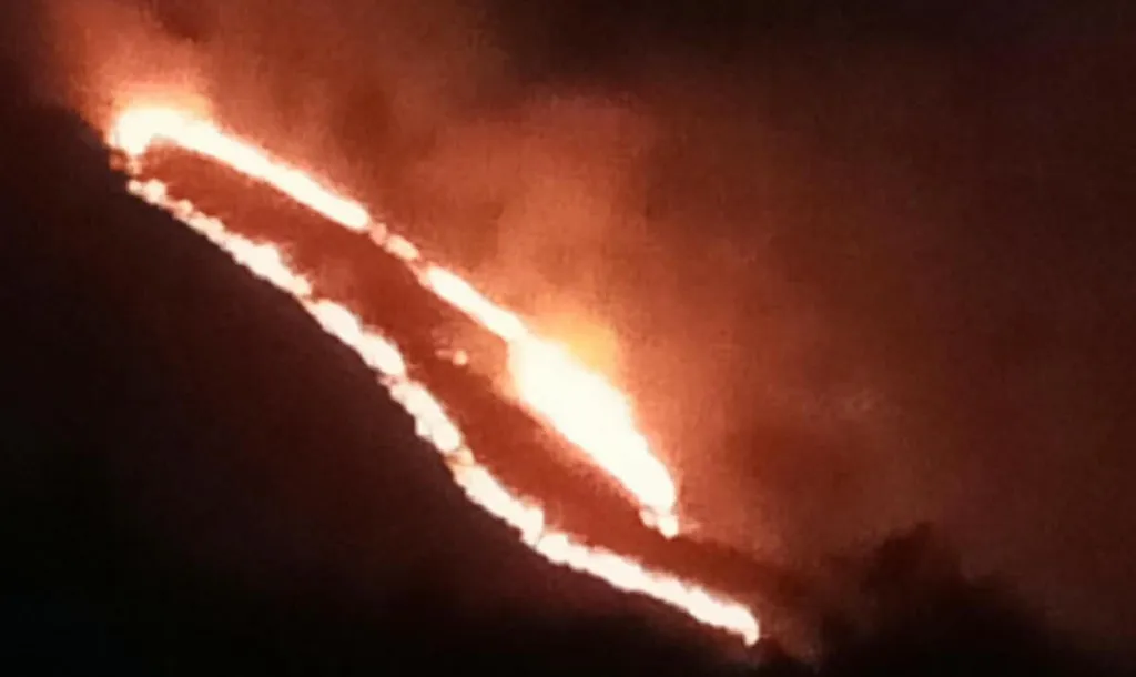 Kebakaran Hutan di Lereng Gunung Arjuno Meluas, Diperkirakan 50 Hektare Lahan Terbakar