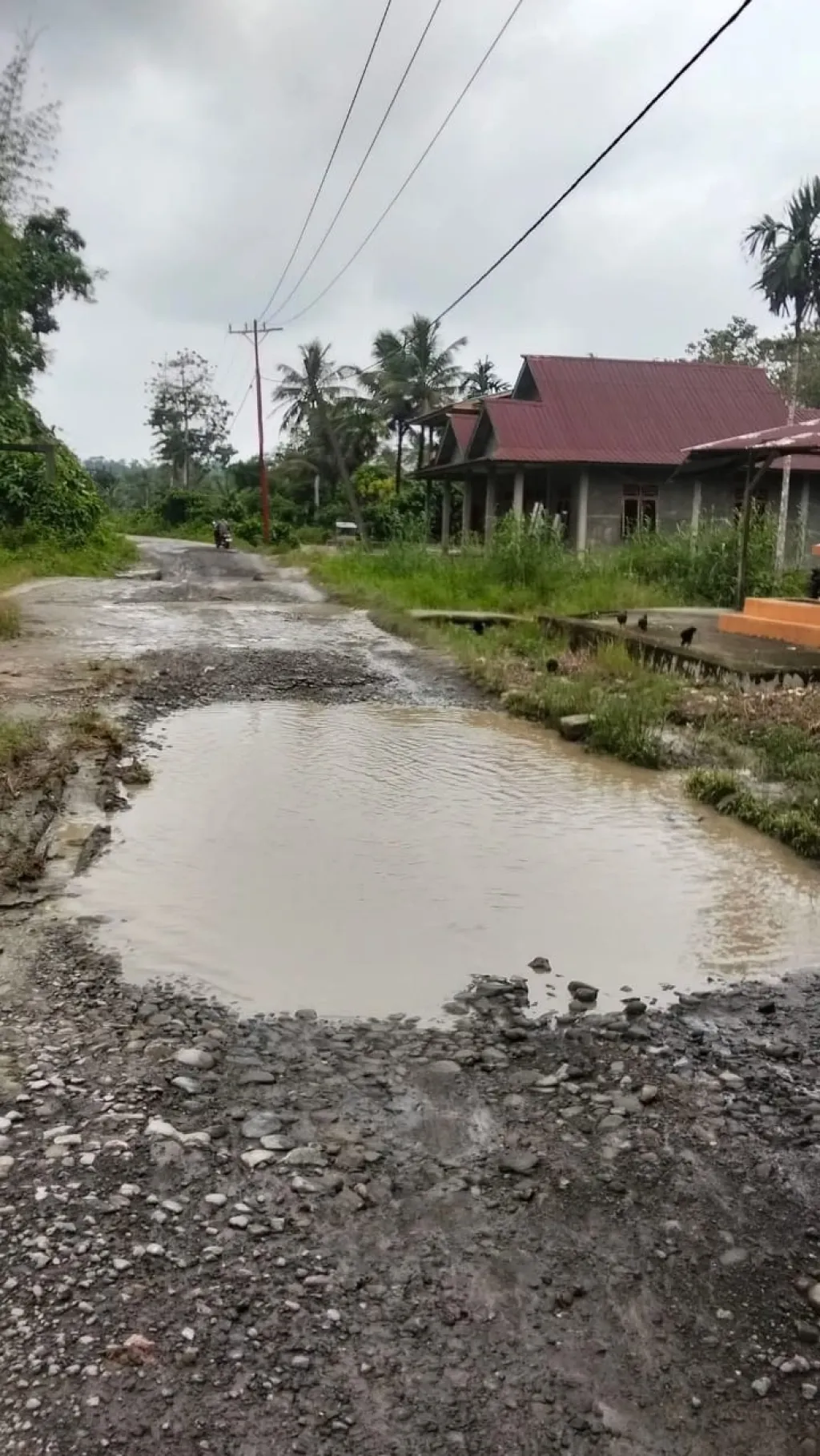Ketua DPP APAI Firman Gulo, S.H., Desak Pemprov Sumut Segera Perbaiki Jalan Sirombu–Mandrehe yang Rusak Parah dan Rawan