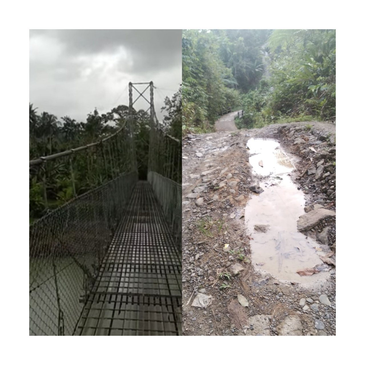 Tertinggal di Pelosok Nias, Aliansi BOSHITAR Kirim Surat Terbuka ke Presiden Prabowo: "Kami Ingin Merdeka dari Isolasi"