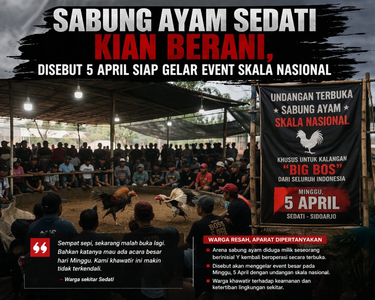Arena Judi Sabung Ayam Sedati Kembali Menggila, Warga Resah—Diduga Siap Gelar Hajatan “Big Bos” Nasional