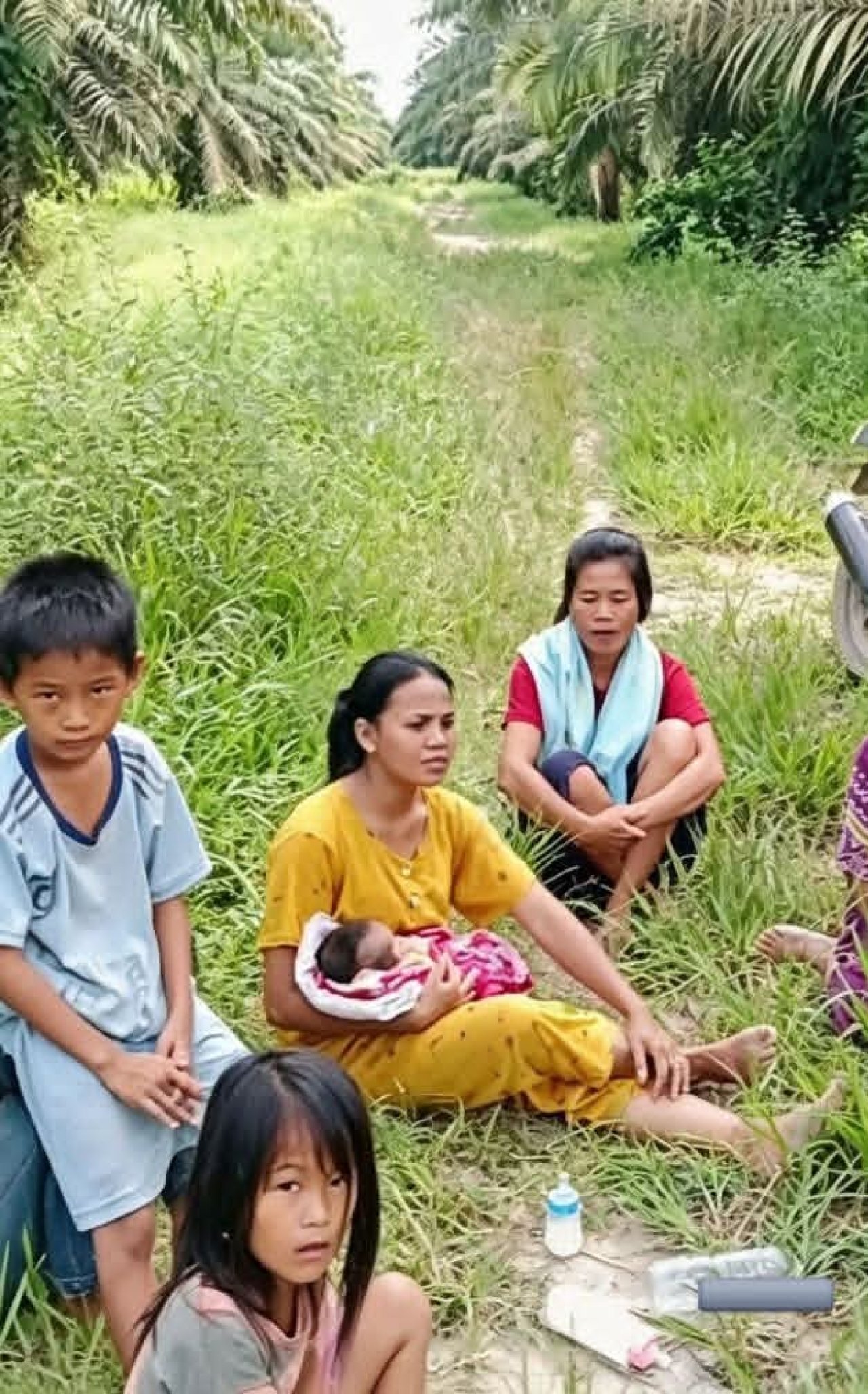 Bayi Beberapa Bulan Terlantar Usai Penggusuran Sei Tapanuli, Warga Minta Negara Hadir